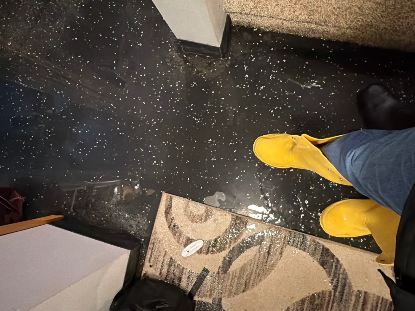 Containment with negative air in Marion County, IN