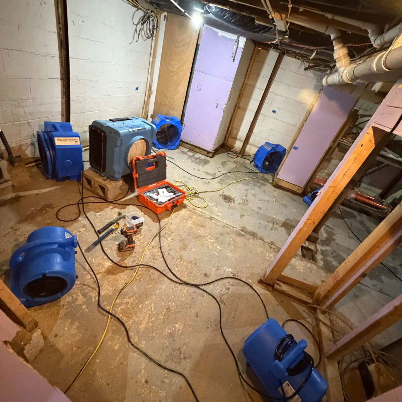 IICRC certified drying setup in Marion County, IN